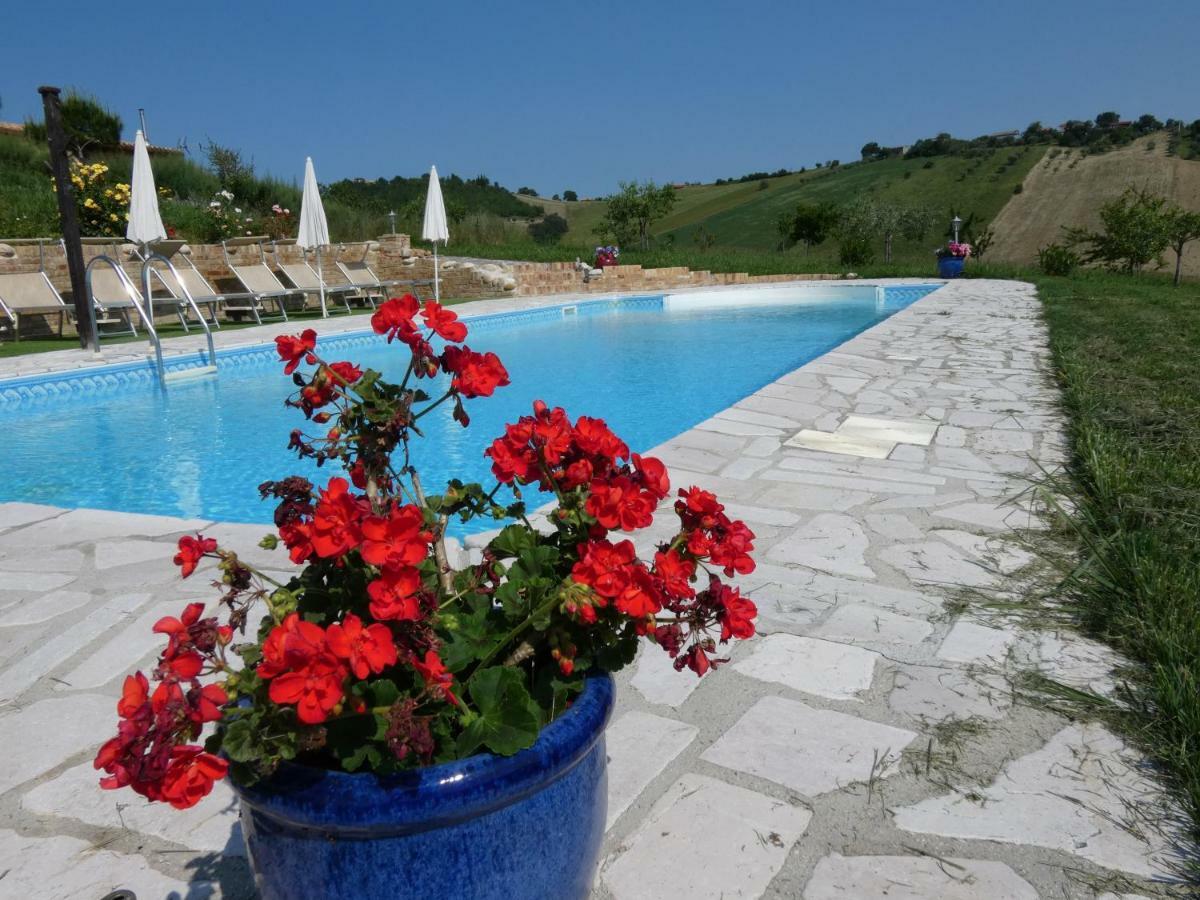 Ripattone Il Frutteto Bed And Breakfast מראה חיצוני תמונה